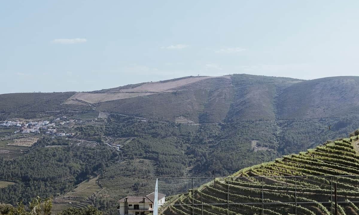 Photo of Outdoor in Provesende