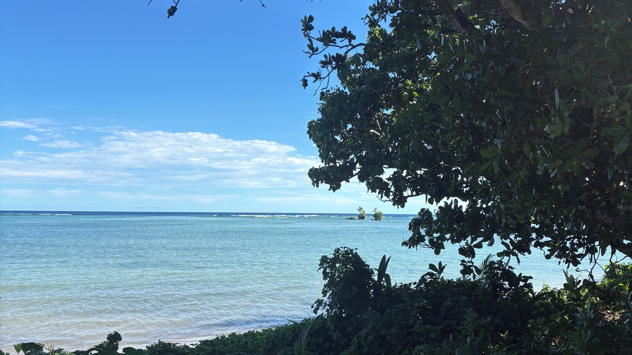Photo of Others in Savusavu