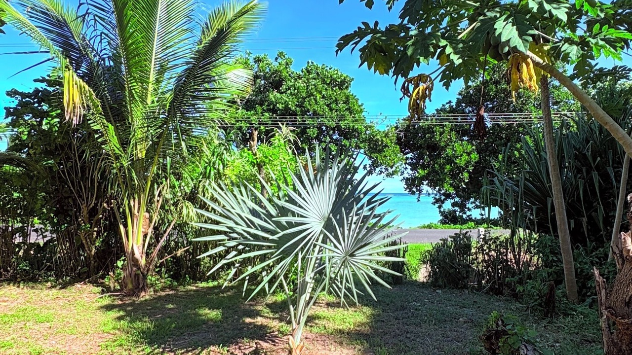 Photo of Outdoor in Savusavu
