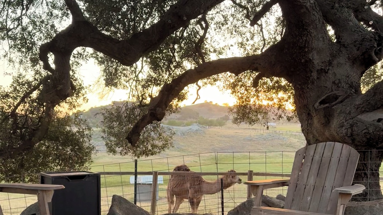 Photo of Outdoor in Ramona