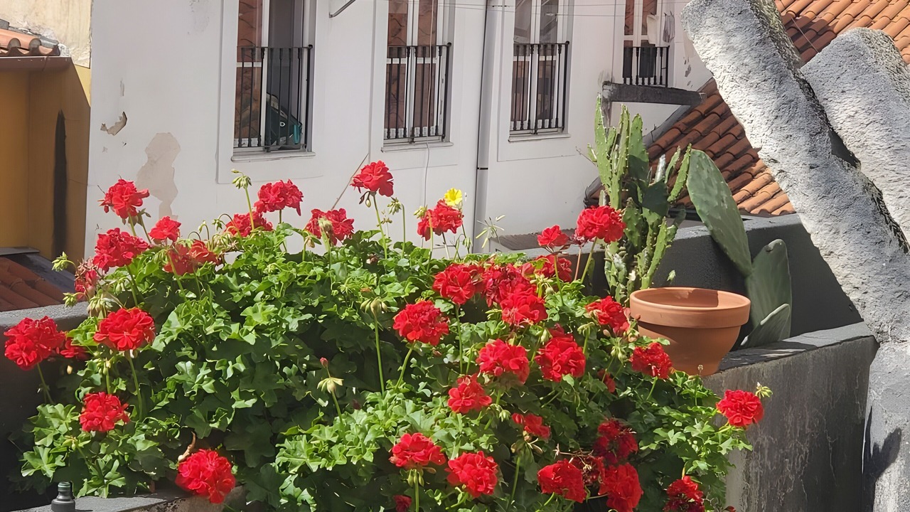 Photo of Outdoor in Coimbra City Centre