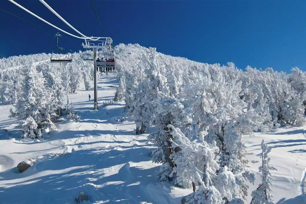Photo of Others in Majestic Pines