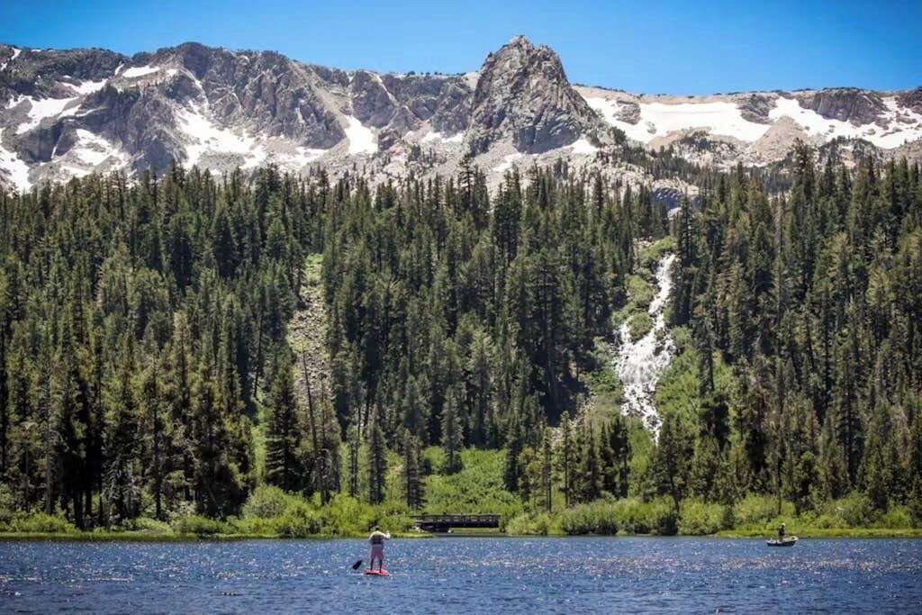 Photo of Others in Majestic Pines