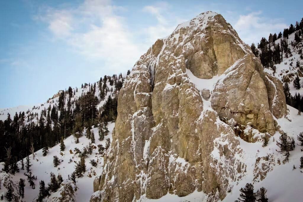 Photo of Others in Majestic Pines