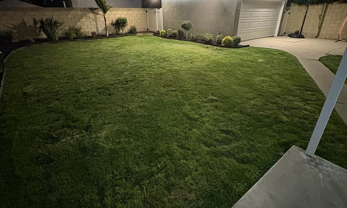 Photo of Outdoor in East Whittier