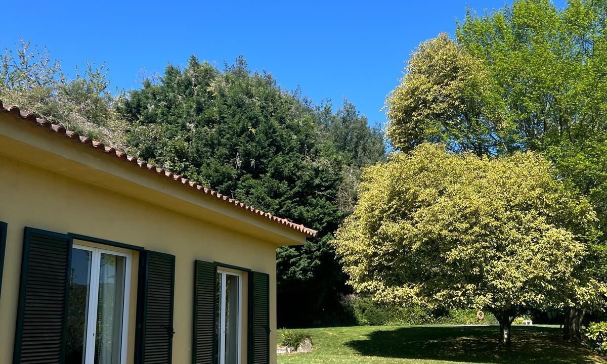 Photo of Outdoor in Anreade