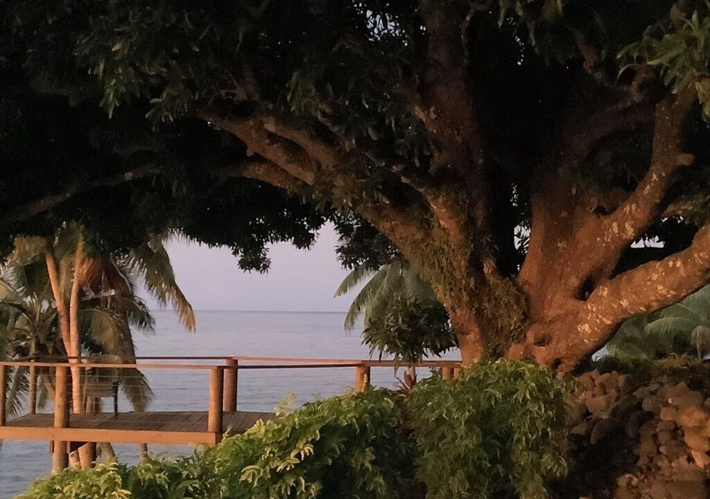 Photo of Others in Taveuni Island East