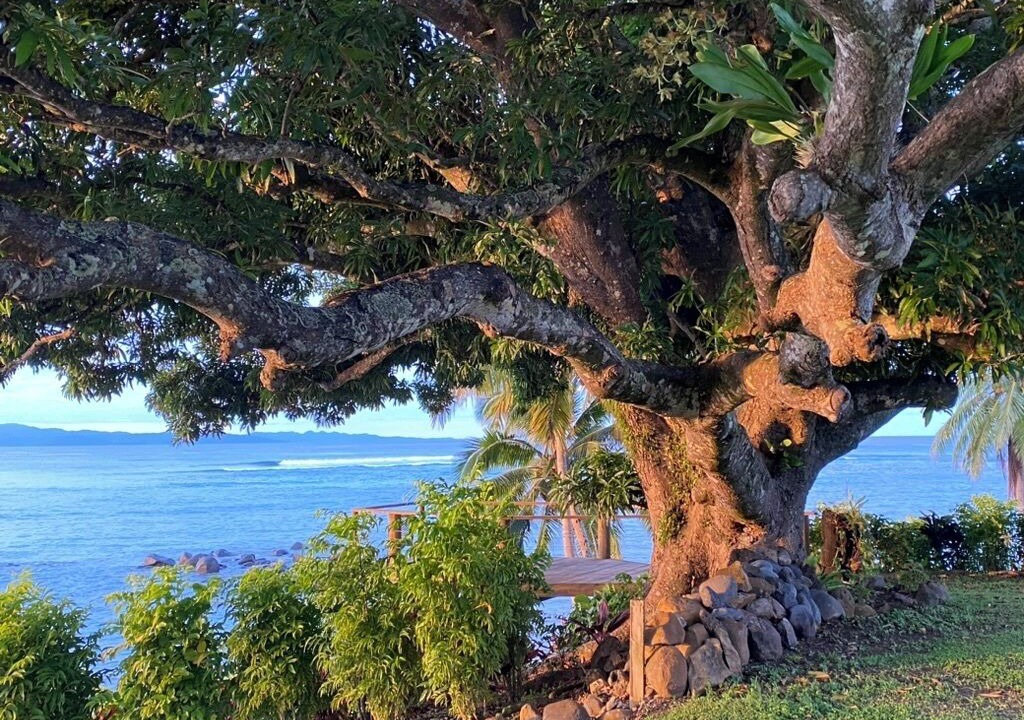 Photo of Others in Taveuni Island East