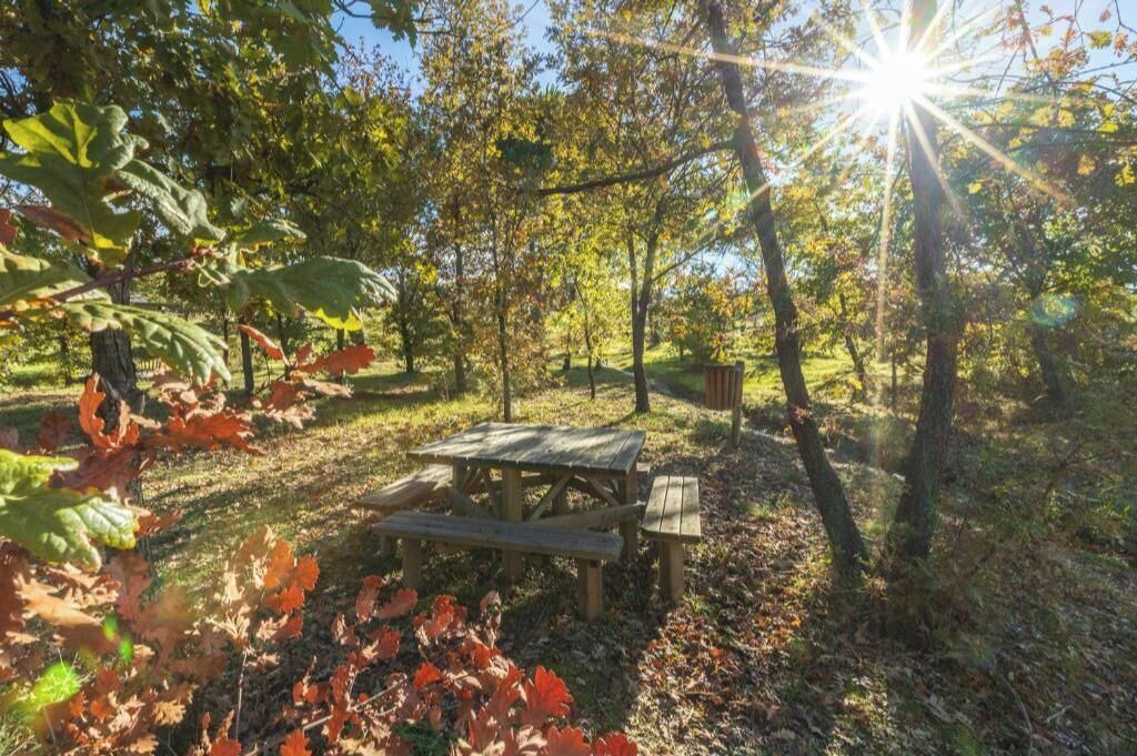 Photo of Outdoor in Seia