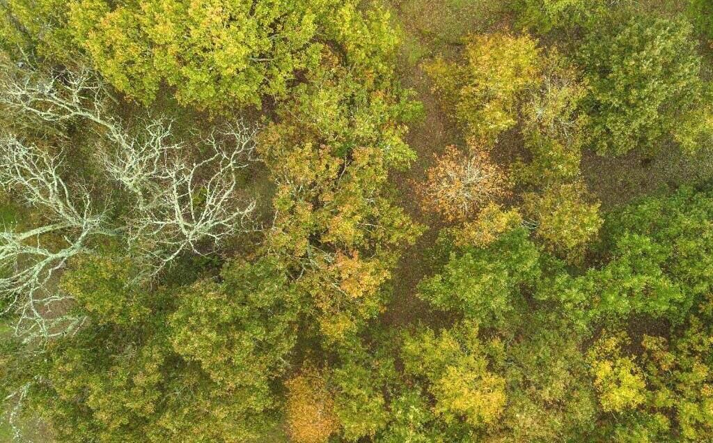 Photo of Outdoor in Travancinha