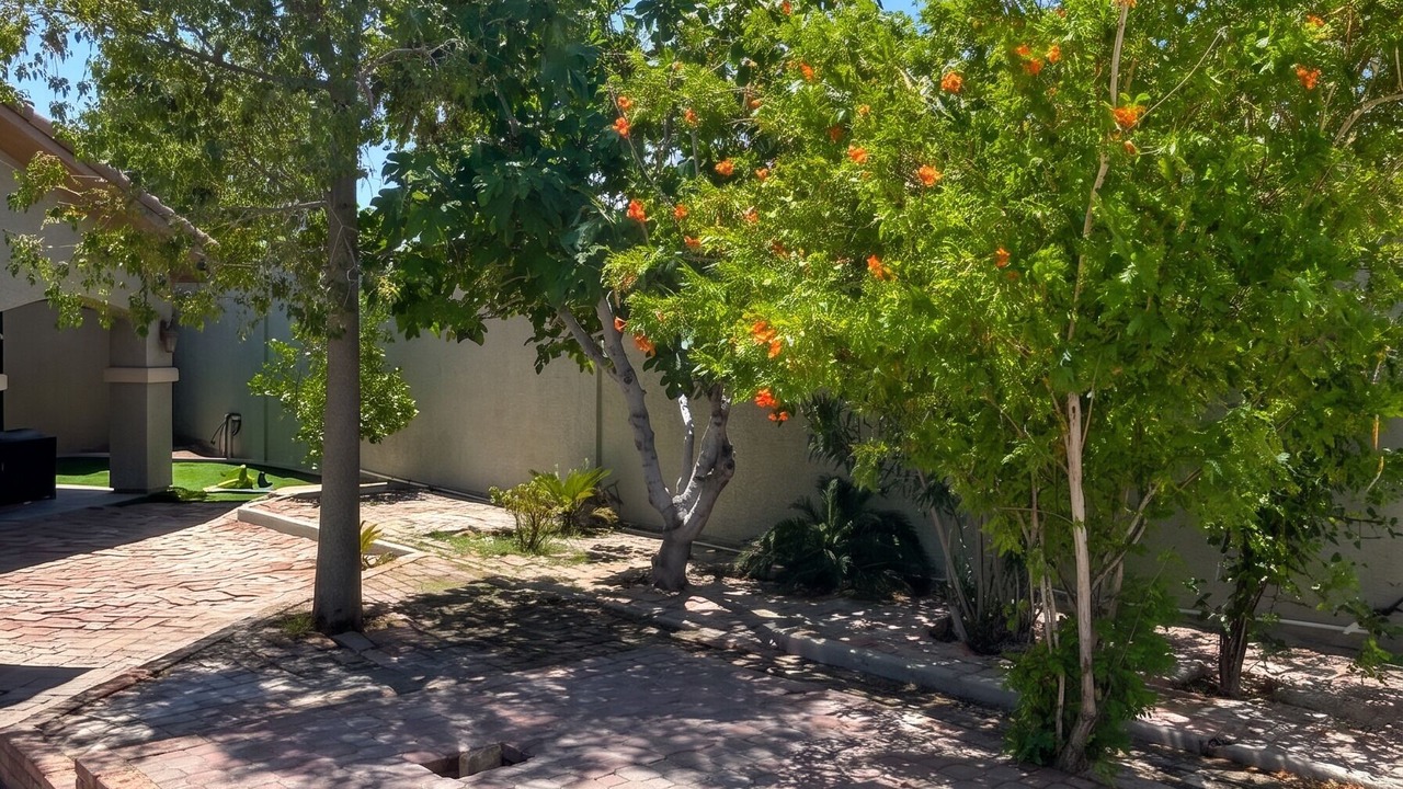 Photo of Outdoor in Las Vegas