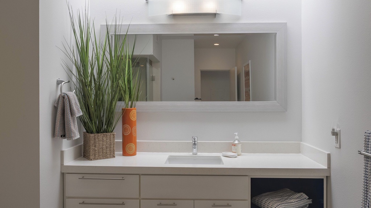 Photo of Bathroom in Araby Commons