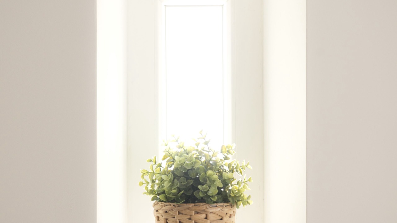 Photo of Livingroom in Chiado
