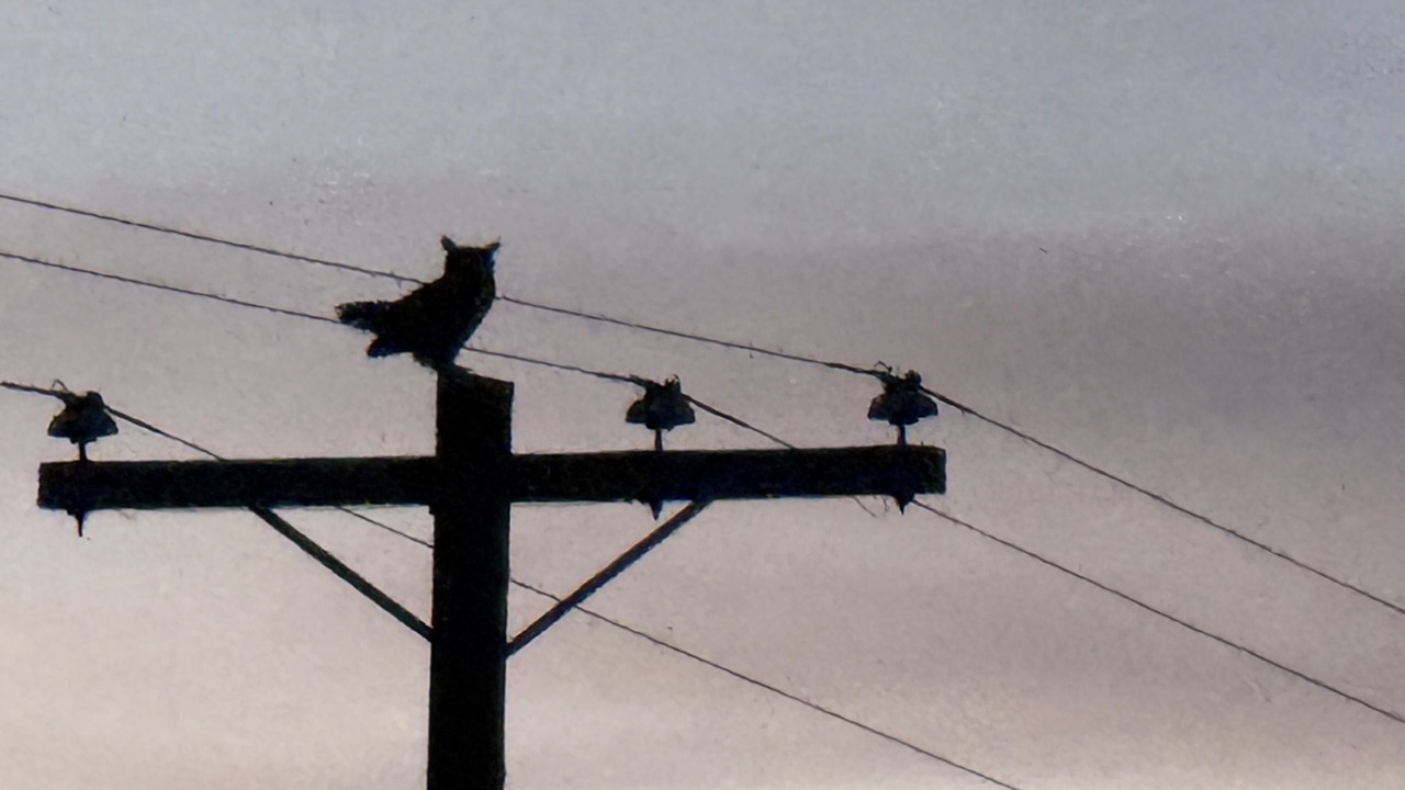 Photo of Others in Lemoore