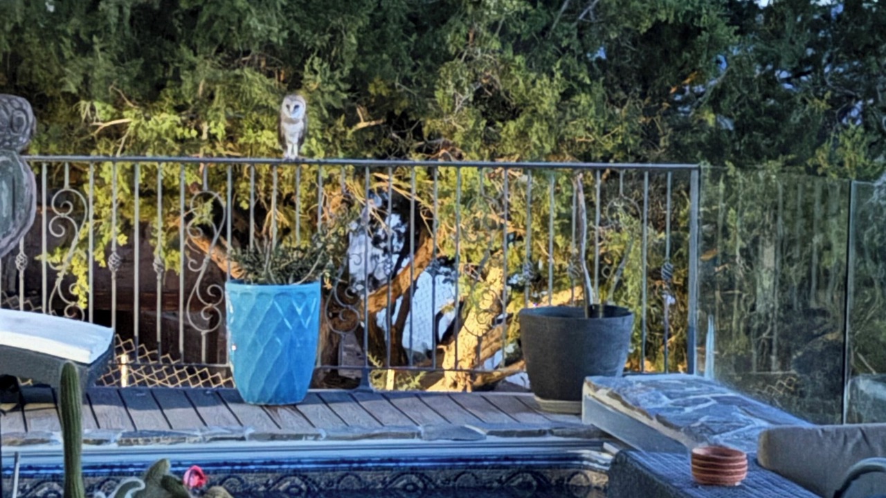 Photo of Outdoor in Agua Dulce