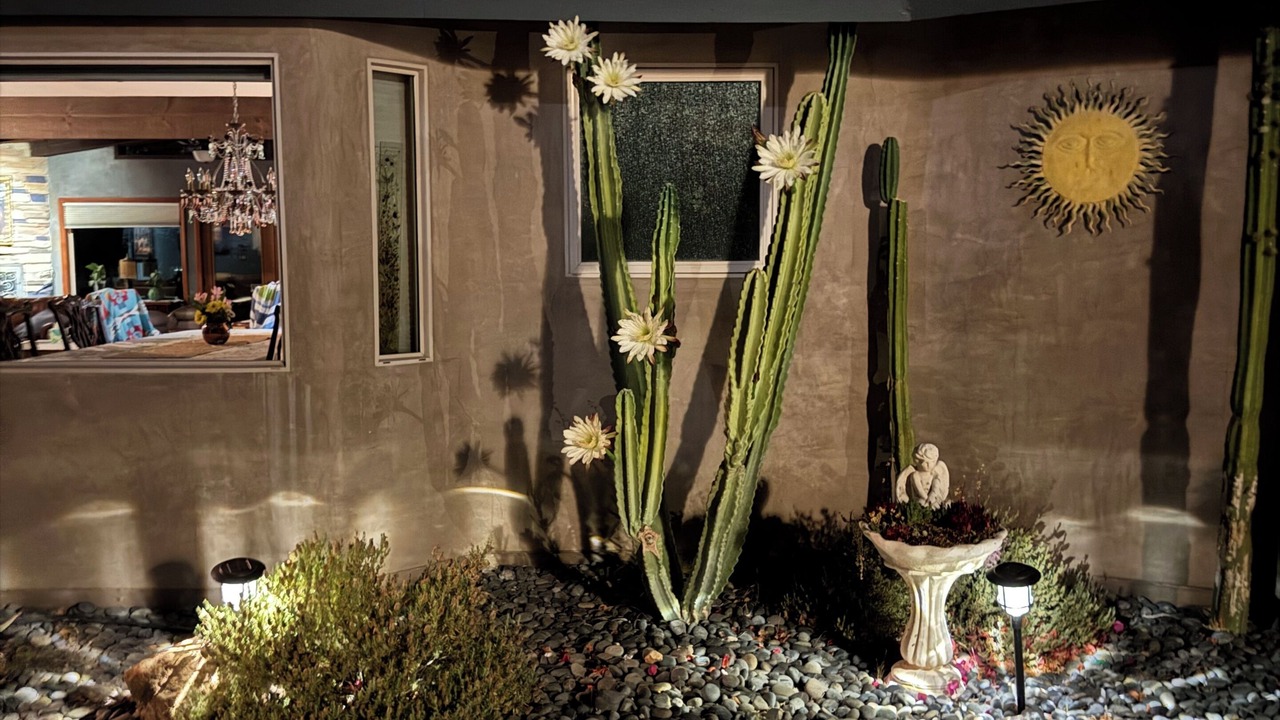 Photo of Outdoor in Agua Dulce