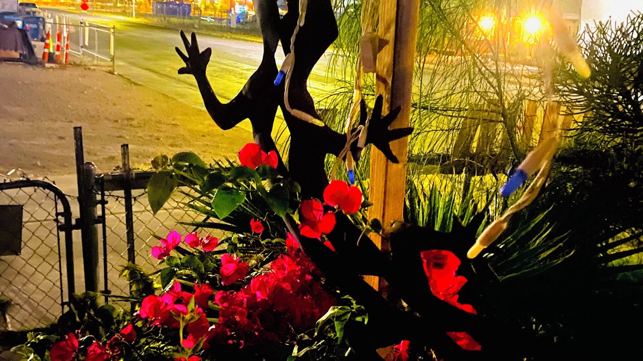 Photo of Outdoor in North Las Vegas