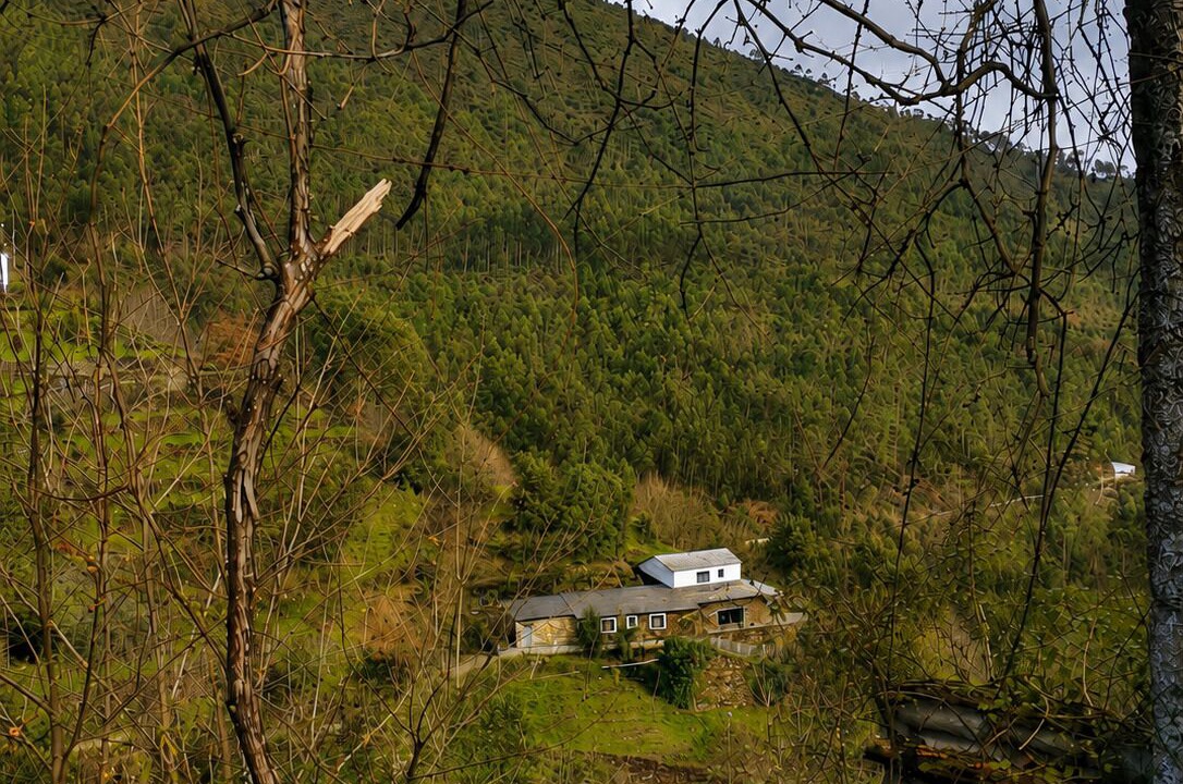 Photo of Others in Arouca