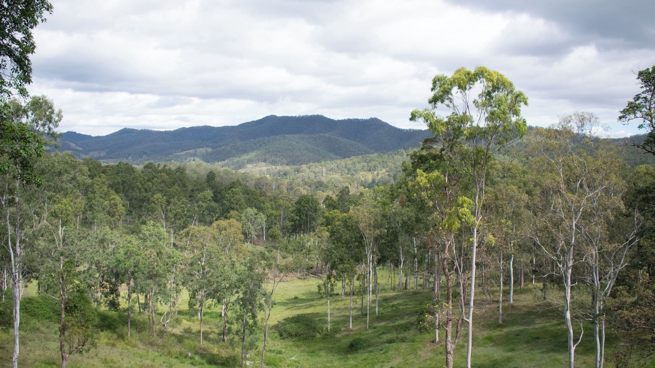 Photo of Others in Mount Byron