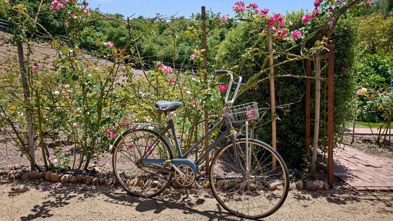 Photo of Others in Carpinteria