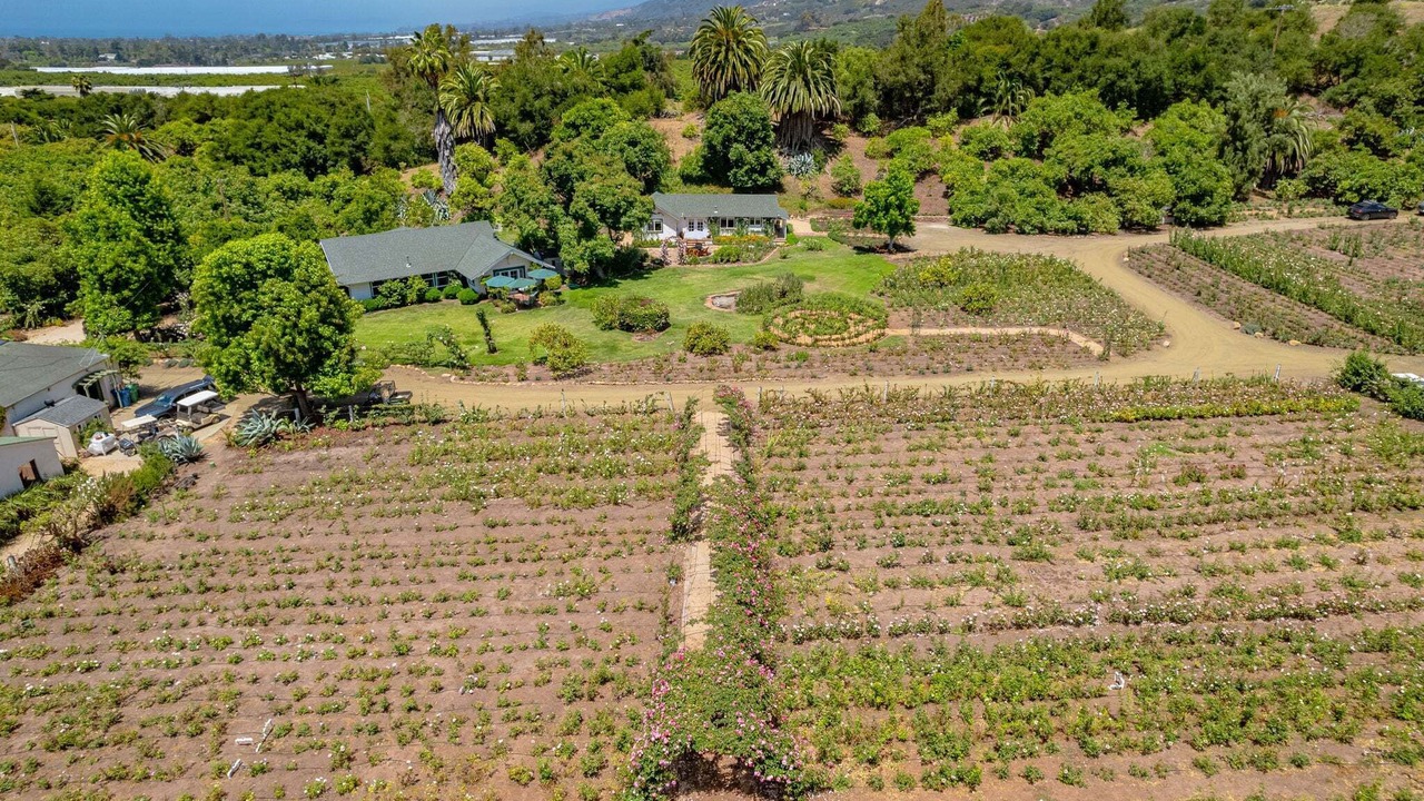 Photo of Outdoor in Carpinteria