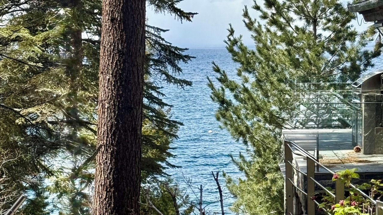 Photo of Outdoor in Lincoln Park