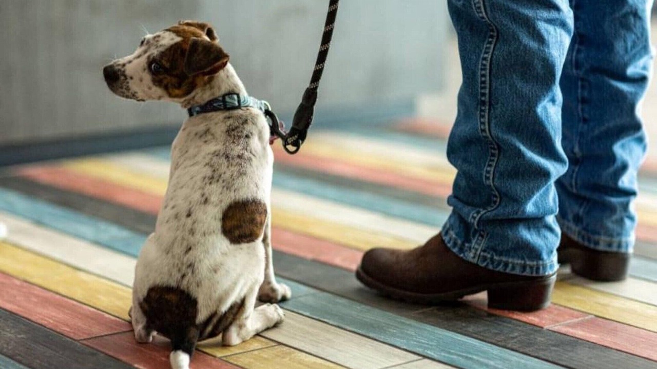 Photo of Others in Raisin