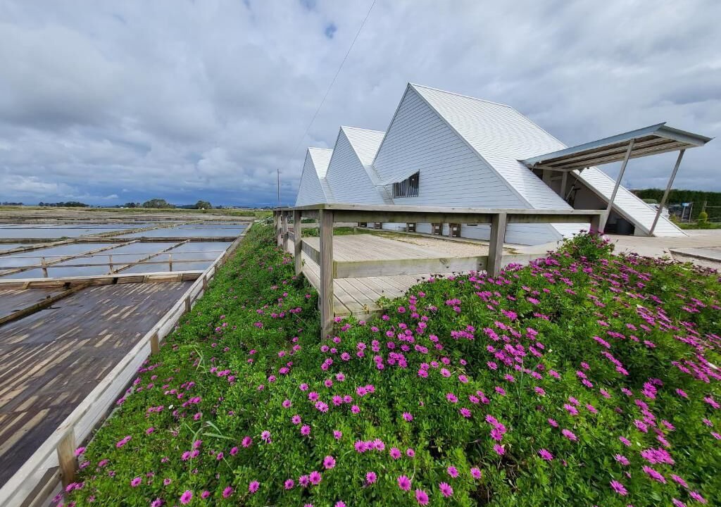 Photo of Outdoor in Aveiro