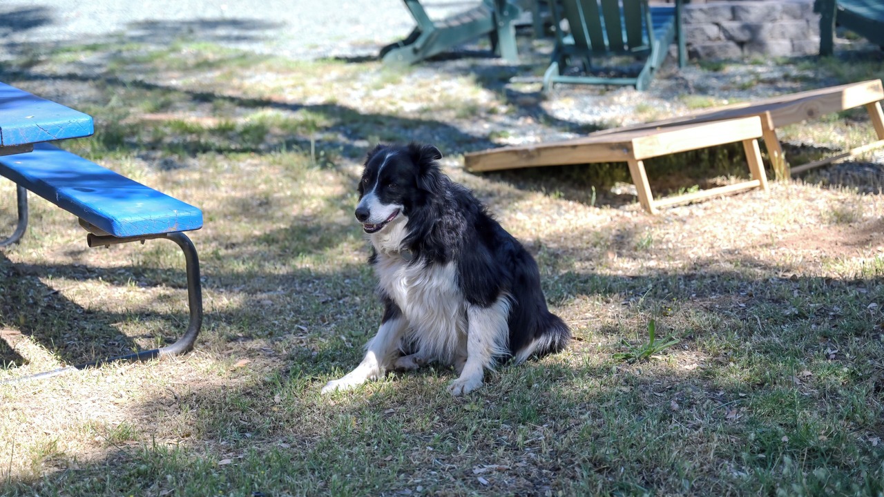 Photo of Outdoor in North Auburn