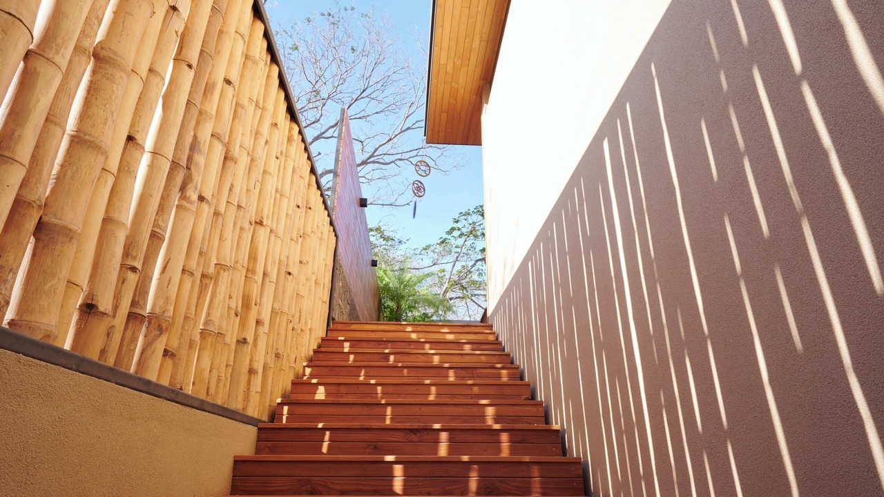 Photo of Outdoor in Playa Langosta