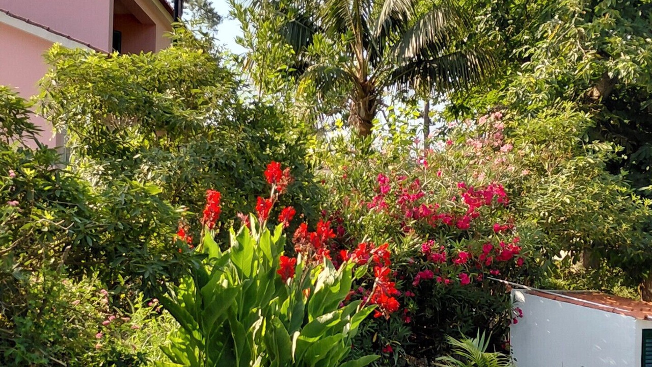Photo of Outdoor in Sao Lourenco