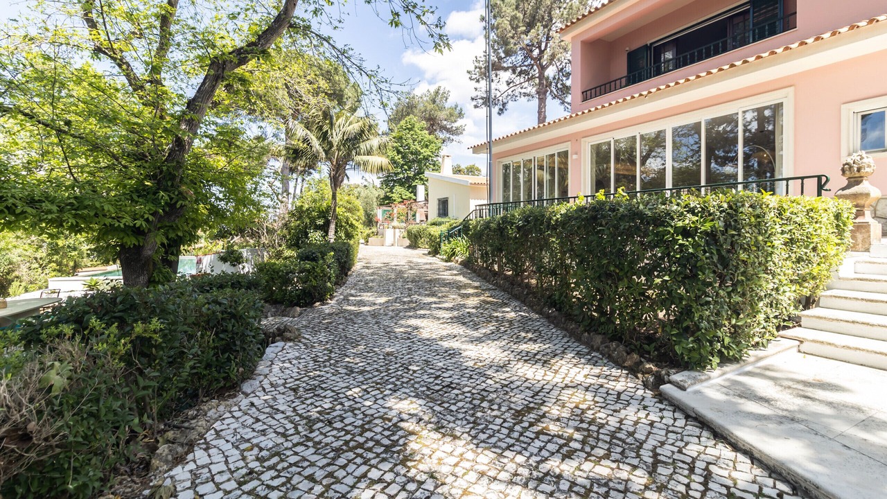 Photo of Outdoor in Sao Lourenco