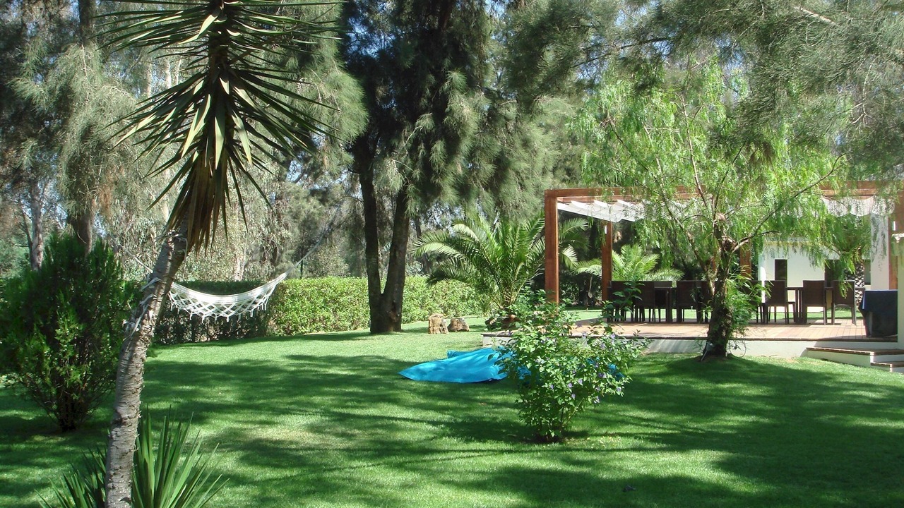 Photo of Outdoor in Penina