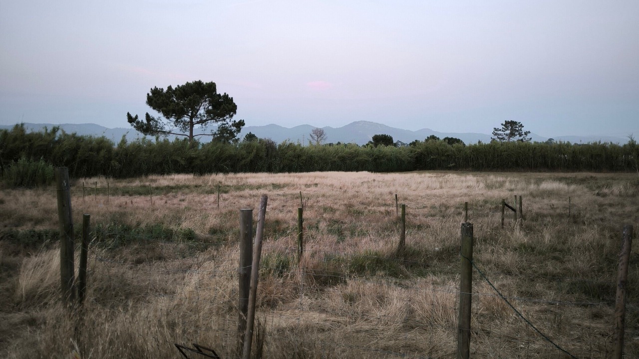 Photo of Others in Odemira