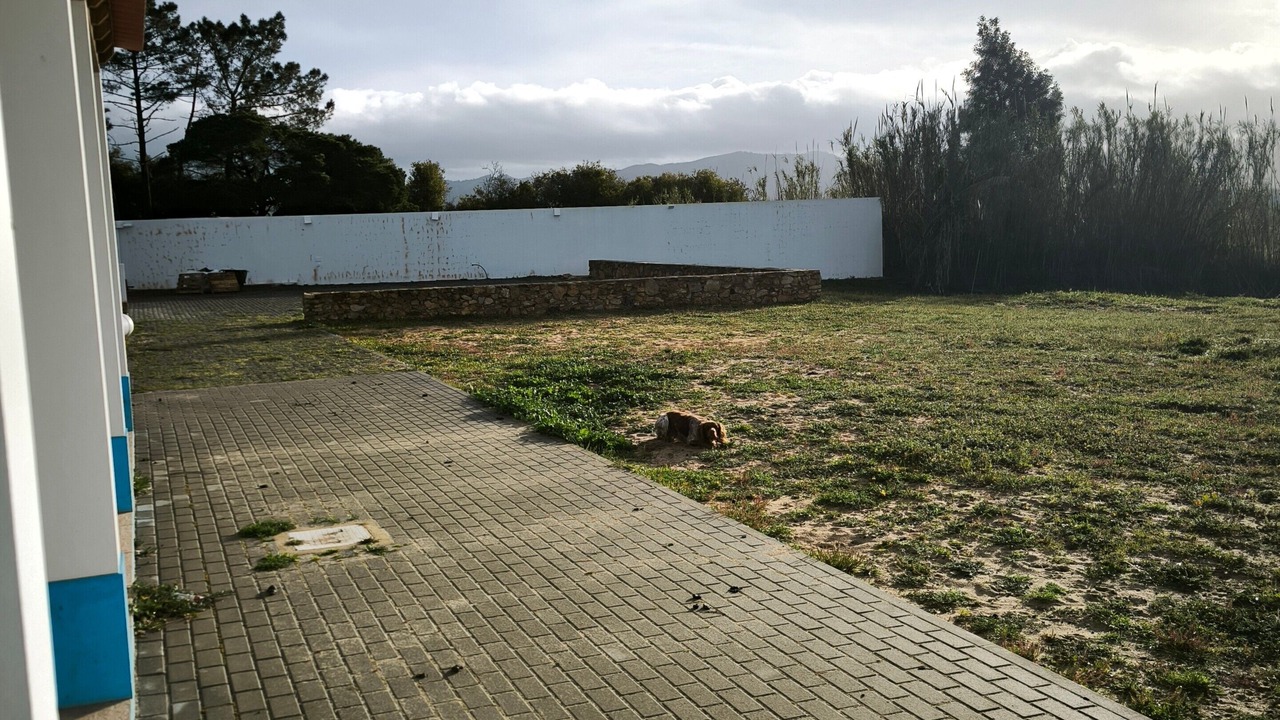 Photo of Outdoor in Odemira