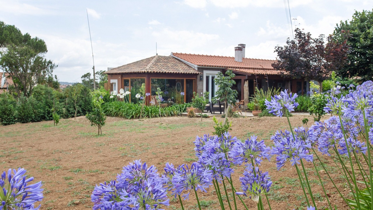 Photo of Outdoor in Alcobaca