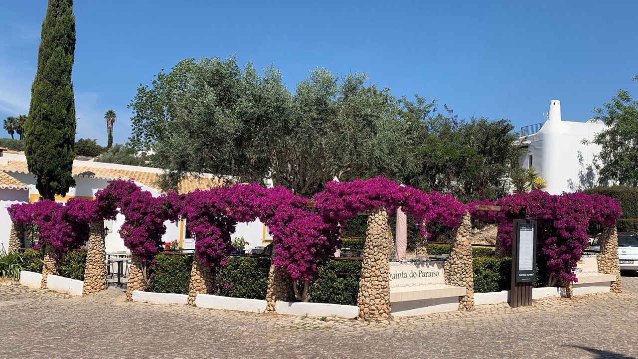 Photo of Outdoor in Mato Serrao