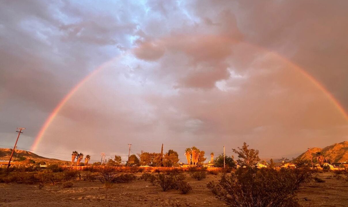 Photo of Others in Wonder Valley