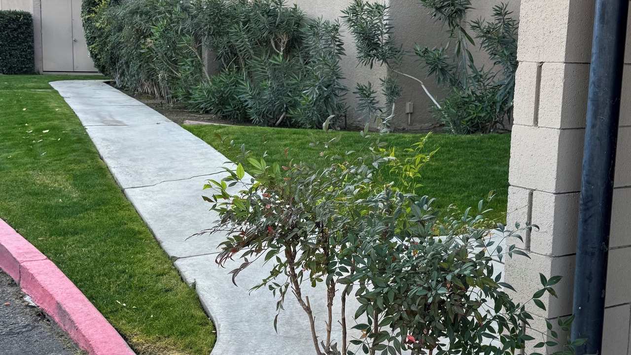 Photo of Others in Palm Desert