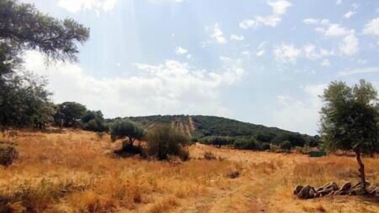 Photo of Others in Elvas