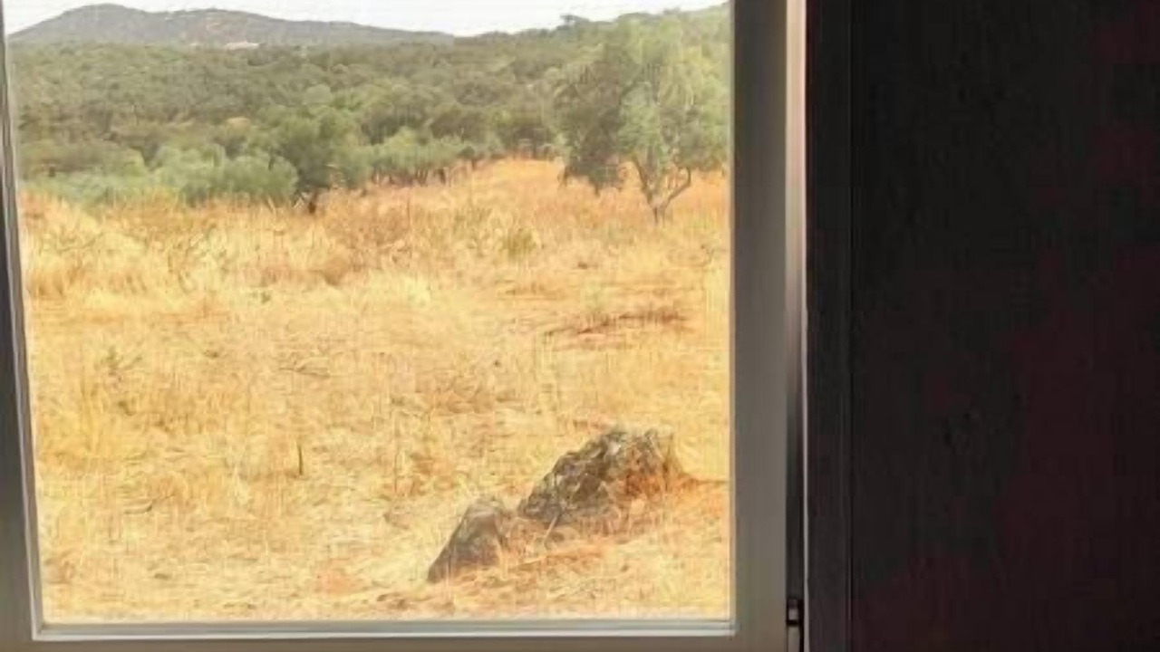 Photo of Others in Elvas