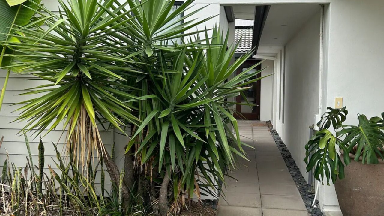 Photo of Outdoor in Mermaid Waters