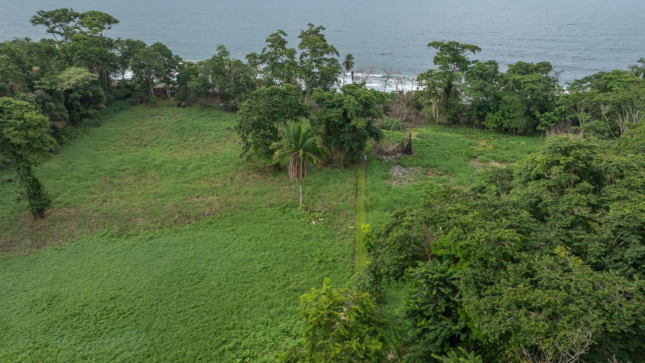 Photo of Outdoor in Puerto Viejo de Talamanca