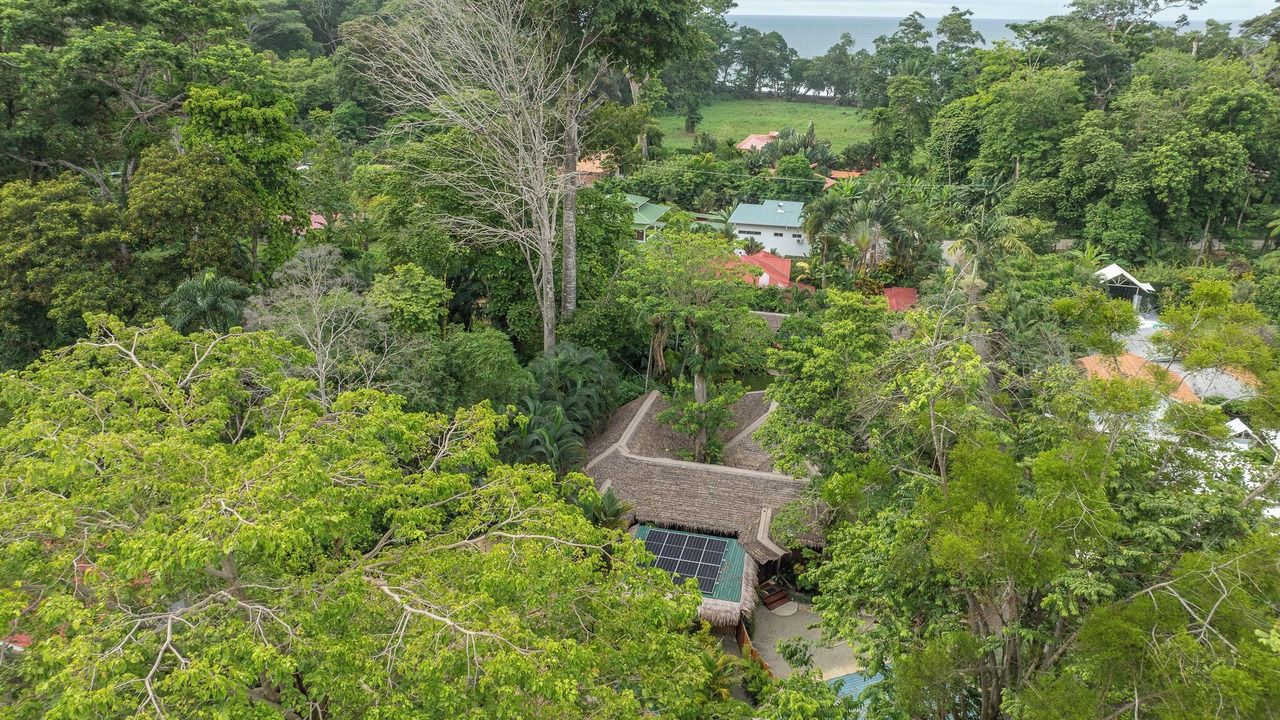 Photo of Outdoor in Puerto Viejo de Talamanca