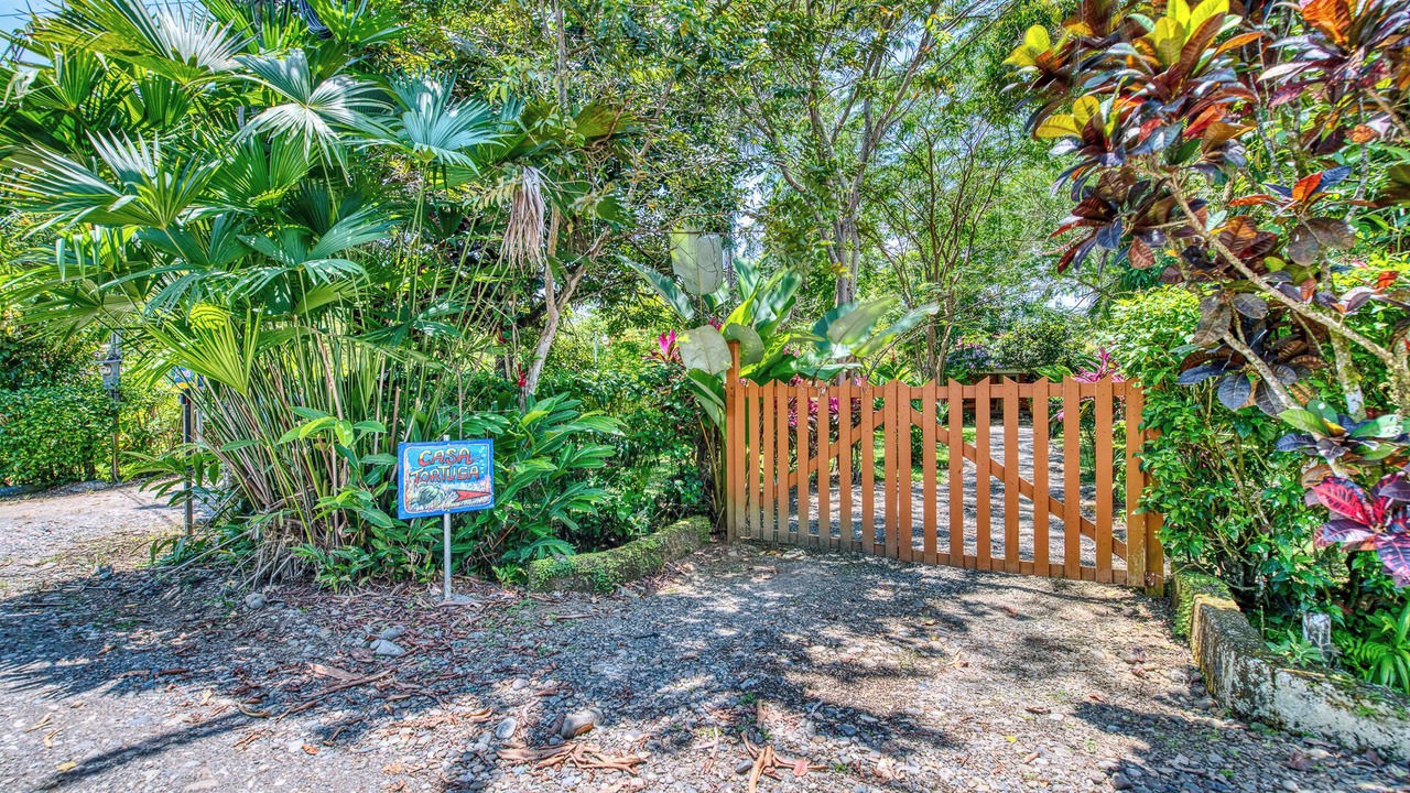 Photo of Outdoor in Cahuita