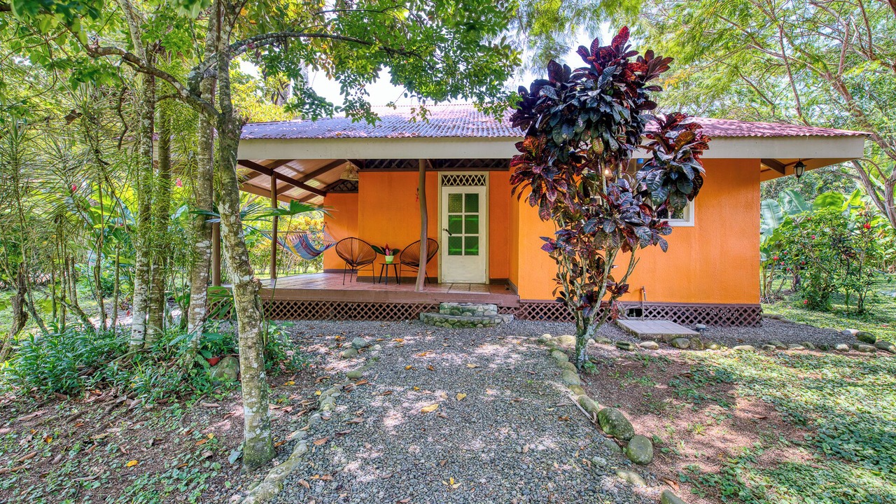 Photo of Outdoor in Cahuita