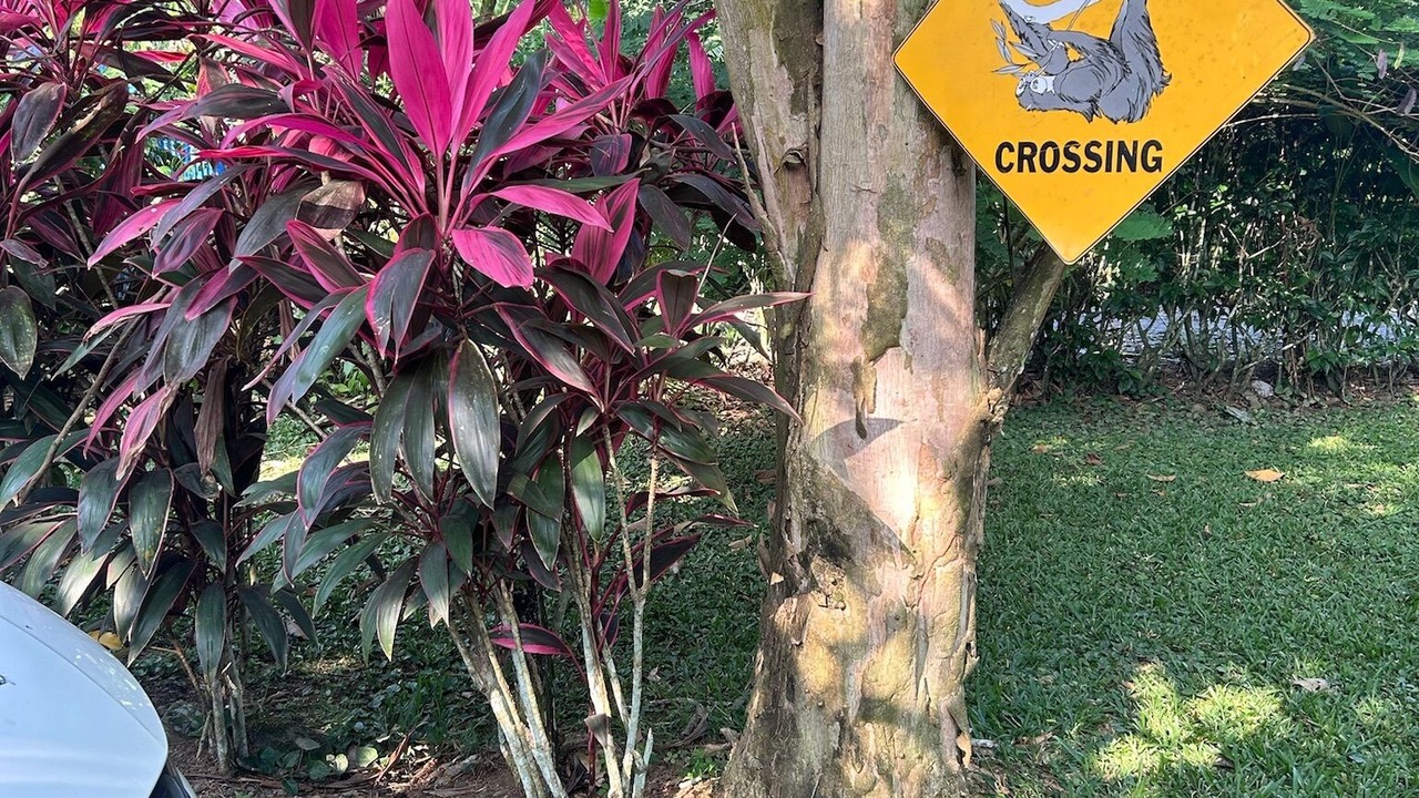 Photo of Outdoor in Cahuita
