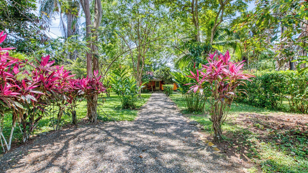 Photo of Outdoor in Cahuita