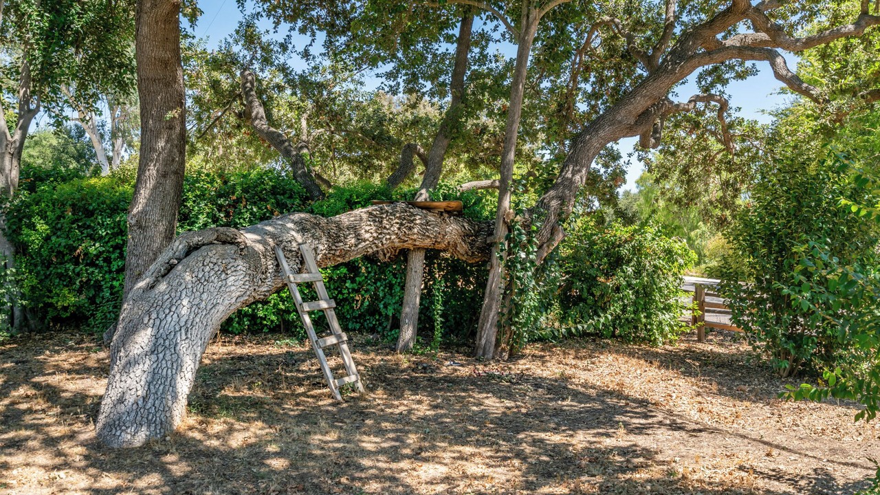 Photo of Others in Solvang
