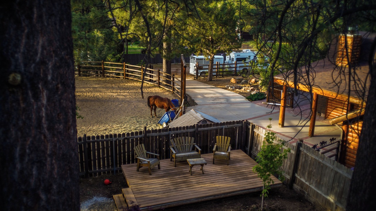 Photo of Patio Balcony in Woodlands